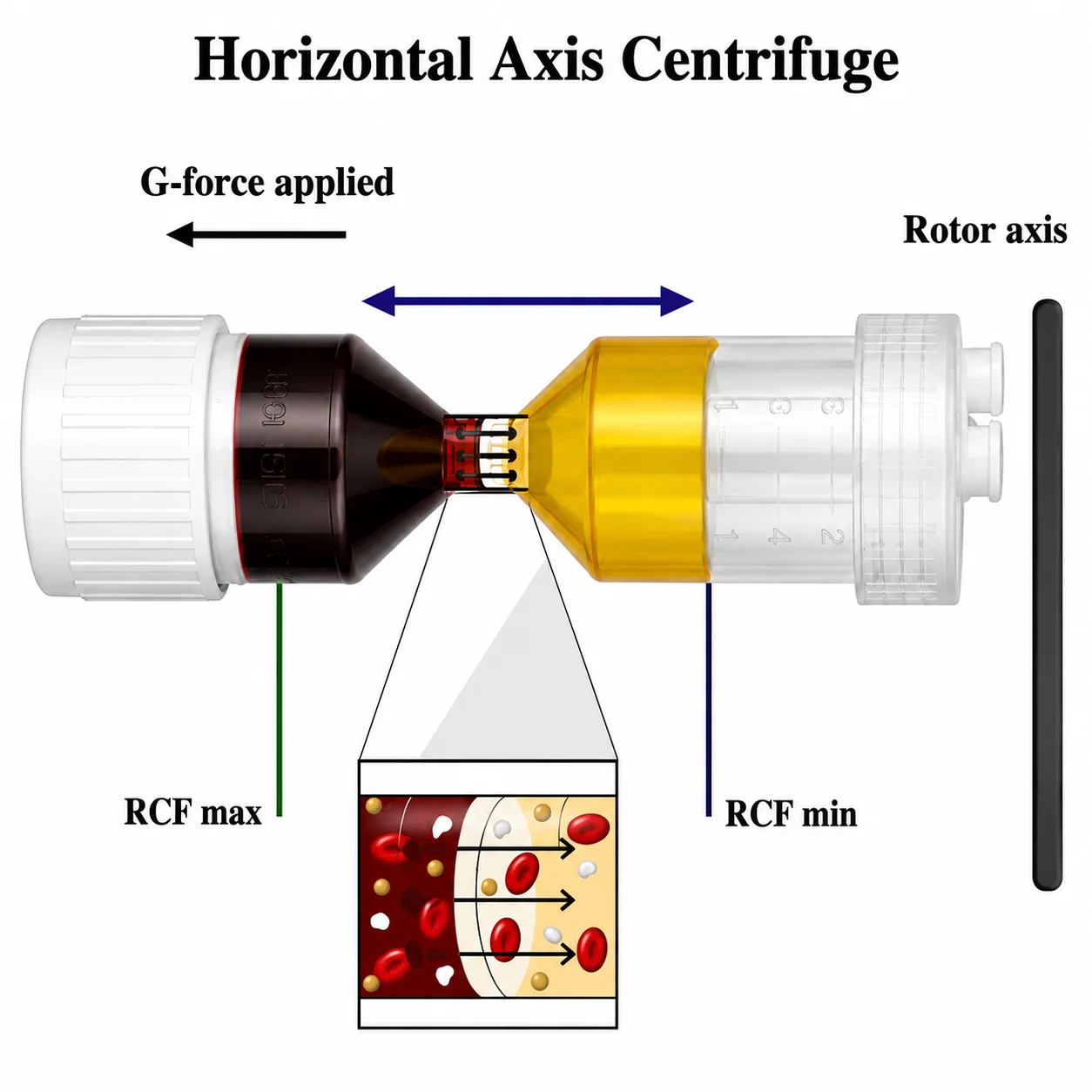Diagram of horizontal-axis centrifugation showing G-force direction, rotor axis and how red blood cells separate from platelets